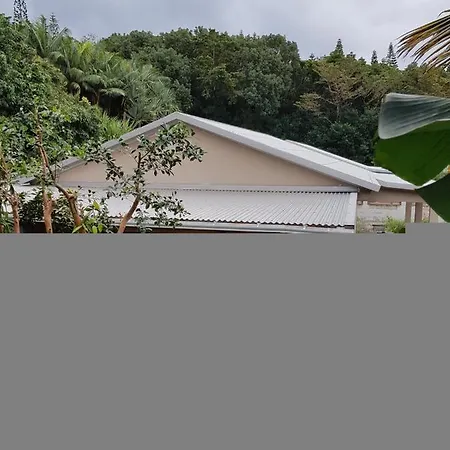 Acogedor Y Centrico - Plaza Del Charco Πουέρτο Ντε Λα Κρουζ